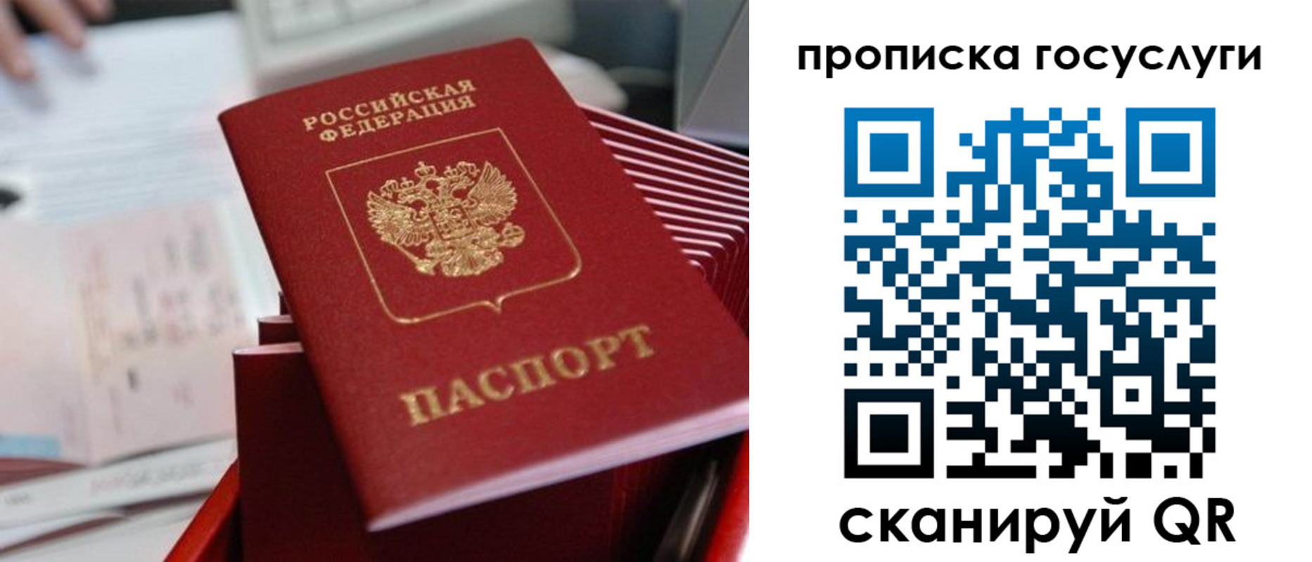 прописка законно в Новодвинске